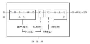 四圣谛、八正道与十二缘起之关