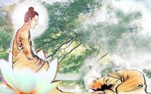 顶礼