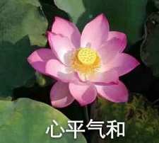 无门直指 第三节 本分