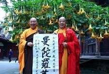 新的感怀
