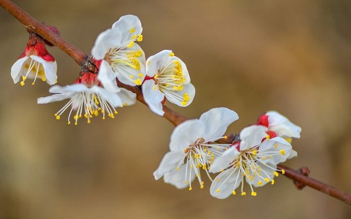 念几千遍药师经