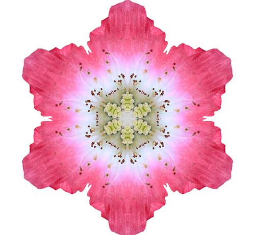 地藏经解释全文听