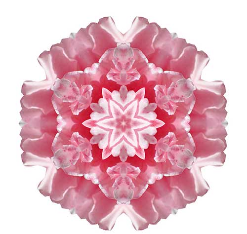 莲花生大士心咒禁忌
