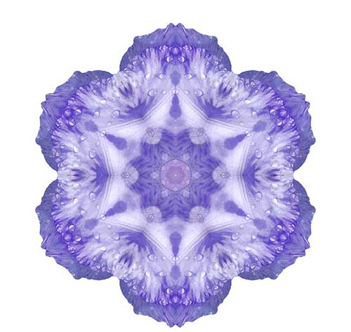 华严经中最优美的句子