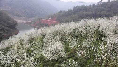 瑜伽师地论卷五