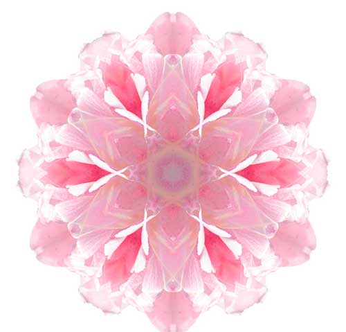 大悲咒白字版注拼音