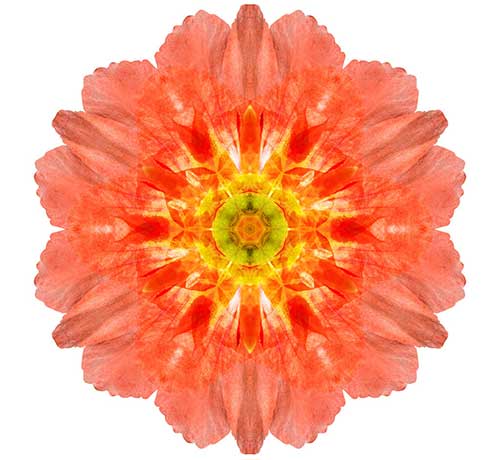 1000遍百字明咒