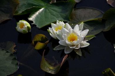 陈大惠：为什么今天年轻人夭折的这么多，为什么孩子们爱住院？