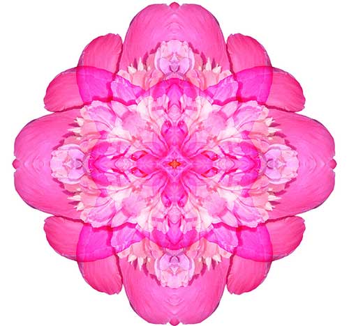黄念祖居士：往生不是死亡的时候，而是生命的开始