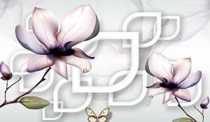 智明上师：我们修行见到境不动心