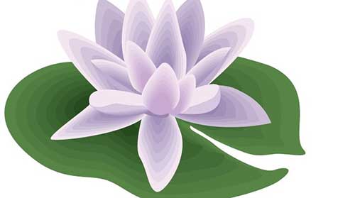 木鱼之眼昼夜常醒