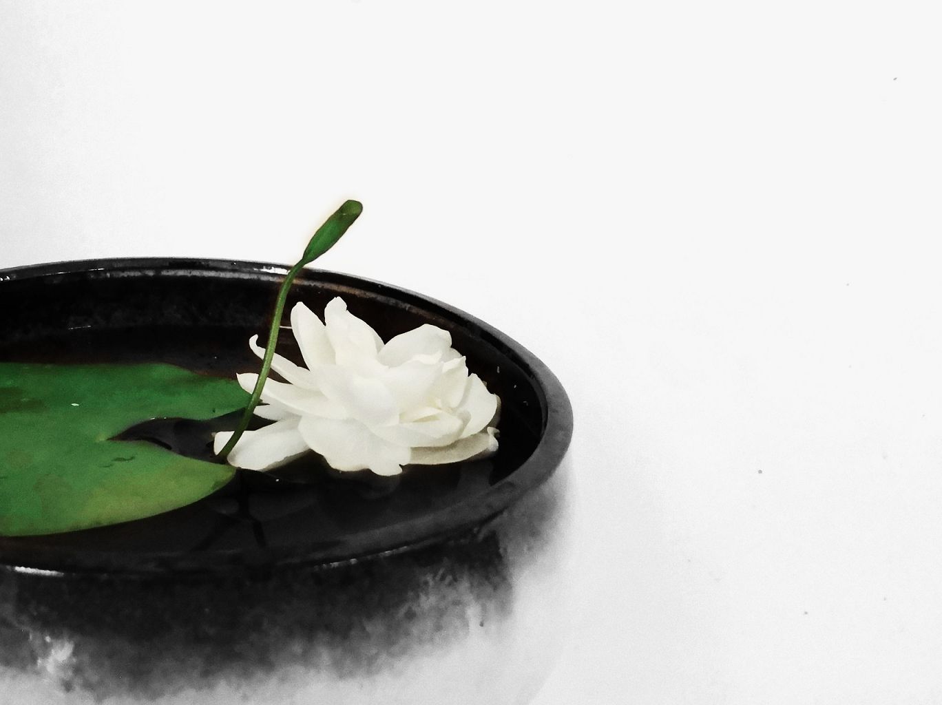 皈依三宝的介说(惟觉法师)
