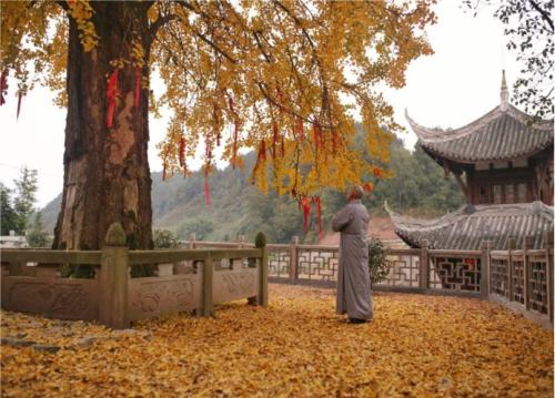 发心是什么意思？