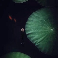 佛教所说的“三乘”是什么